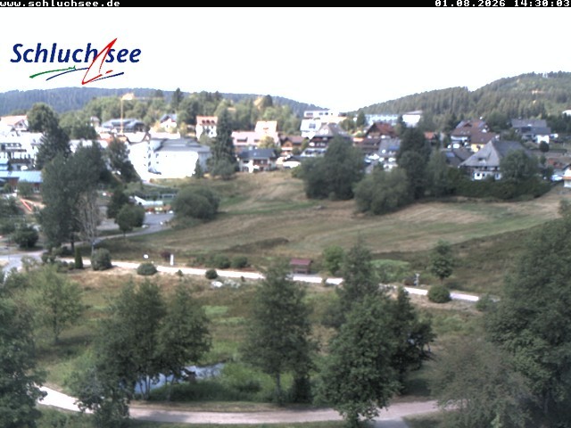 Archiv Foto Webcam Schluchsee: Wiesengrundpark