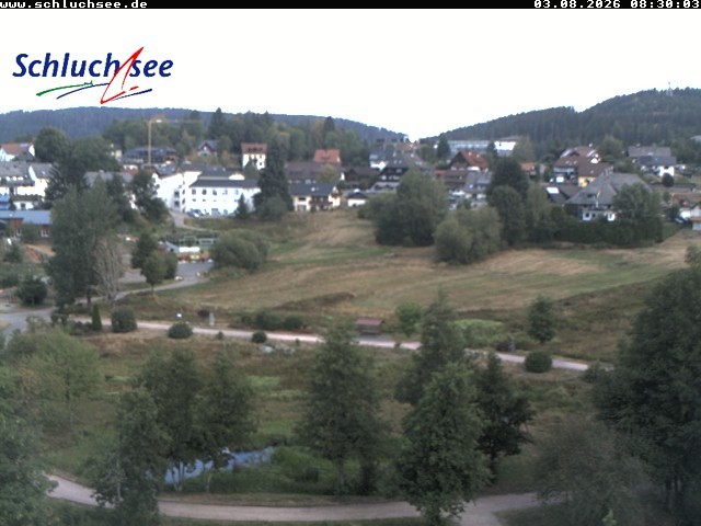 Archiv Foto Webcam Schluchsee: Wiesengrundpark