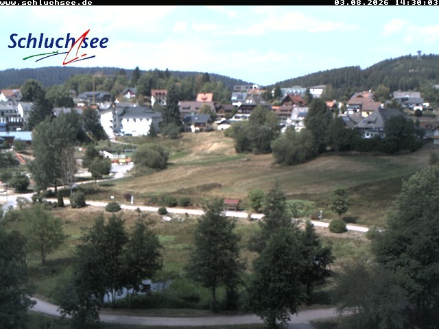 Archiv Foto Webcam Schluchsee: Wiesengrundpark