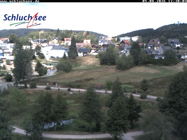 Archived image Webcam Schluchsee: recreation area Wiesengrundpark