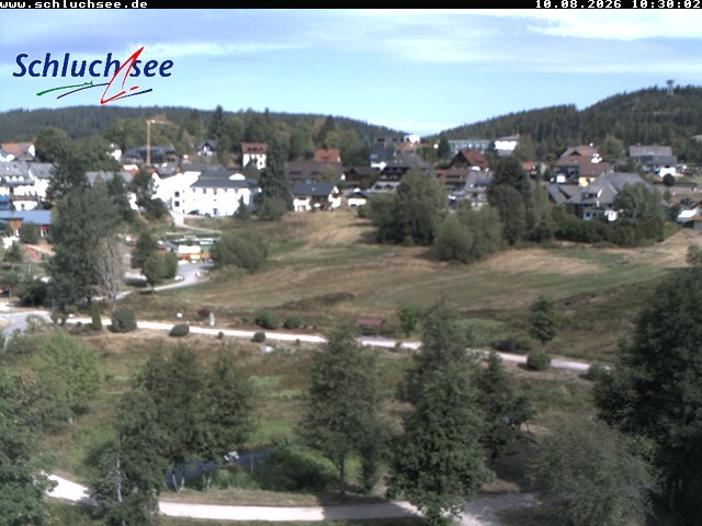 Archiv Foto Webcam Schluchsee: Wiesengrundpark