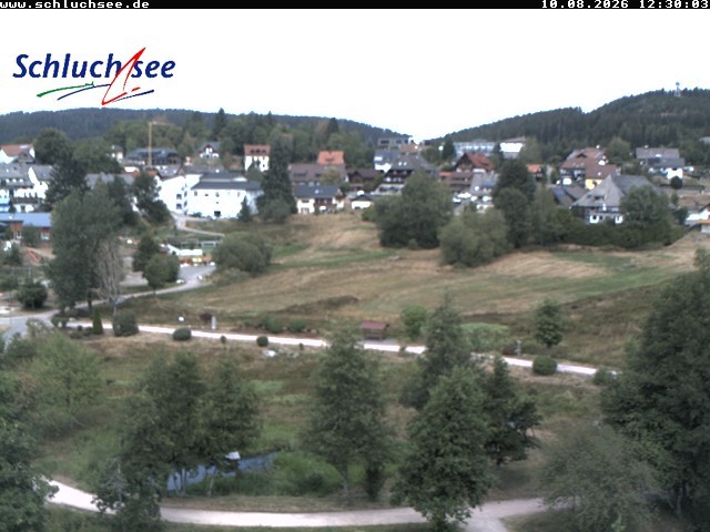 Archiv Foto Webcam Schluchsee: Wiesengrundpark