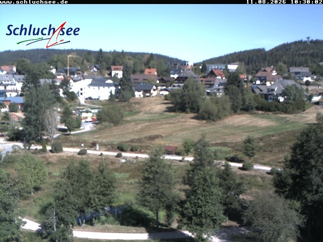 Archiv Foto Webcam Schluchsee: Wiesengrundpark