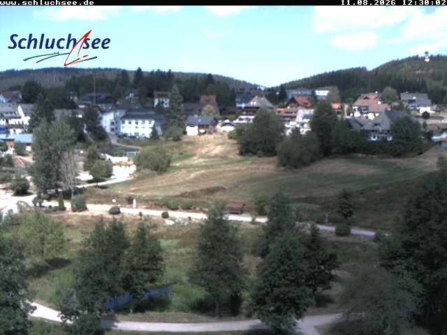 Archiv Foto Webcam Schluchsee: Wiesengrundpark