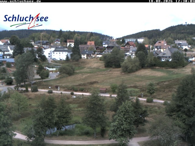 Archiv Foto Webcam Schluchsee: Wiesengrundpark