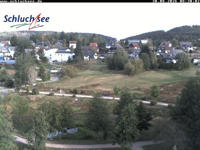 Archiv Foto Webcam Schluchsee: Wiesengrundpark