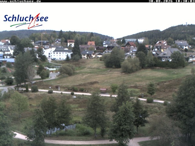 Archiv Foto Webcam Schluchsee: Wiesengrundpark
