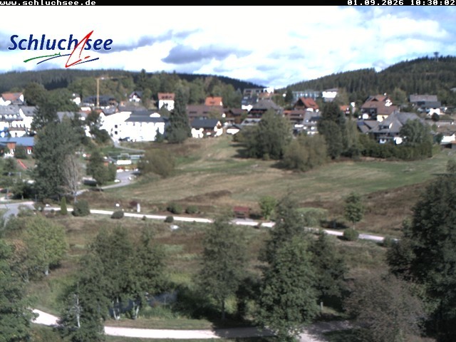 Archiv Foto Webcam Schluchsee: Wiesengrundpark