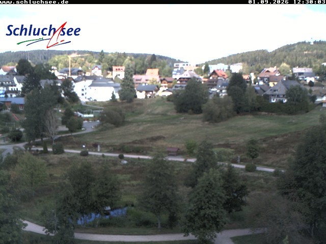 Archiv Foto Webcam Schluchsee: Wiesengrundpark