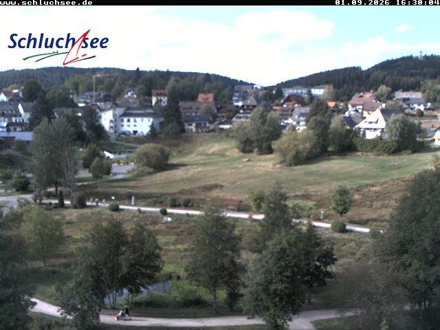 Archiv Foto Webcam Schluchsee: Wiesengrundpark