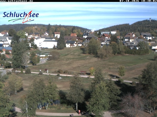 Archiv Foto Webcam Schluchsee: Wiesengrundpark