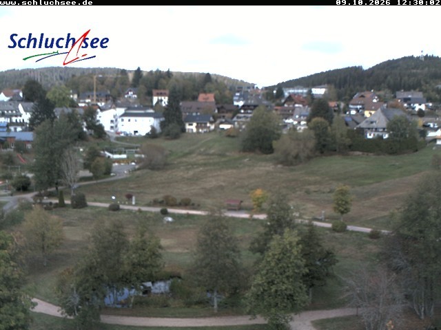 Archiv Foto Webcam Schluchsee: Wiesengrundpark