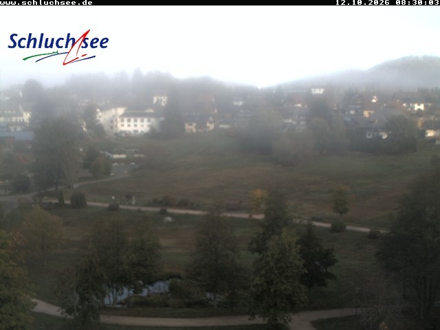 Archiv Foto Webcam Schluchsee: Wiesengrundpark
