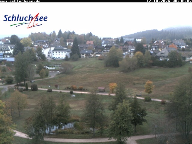 Archiv Foto Webcam Schluchsee: Wiesengrundpark