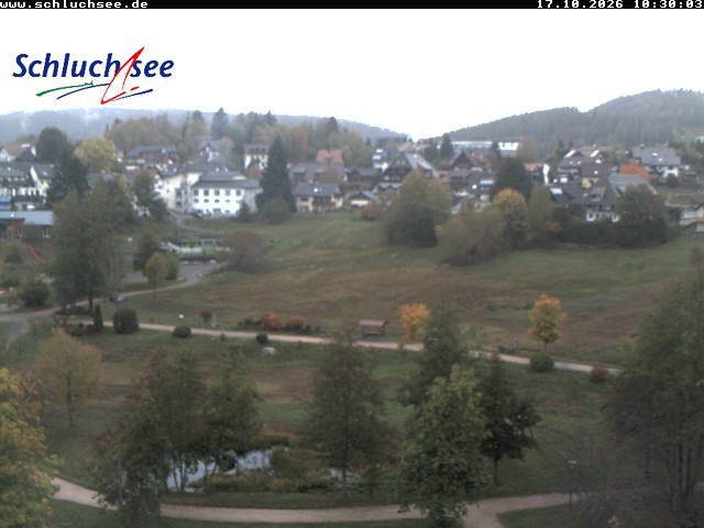 Archiv Foto Webcam Schluchsee: Wiesengrundpark
