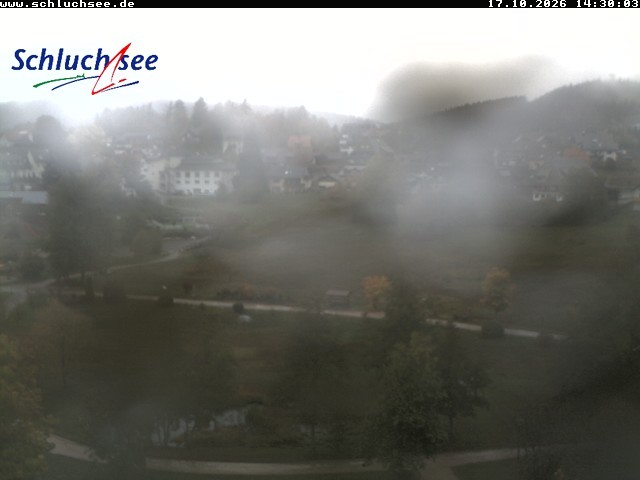 Archiv Foto Webcam Schluchsee: Wiesengrundpark