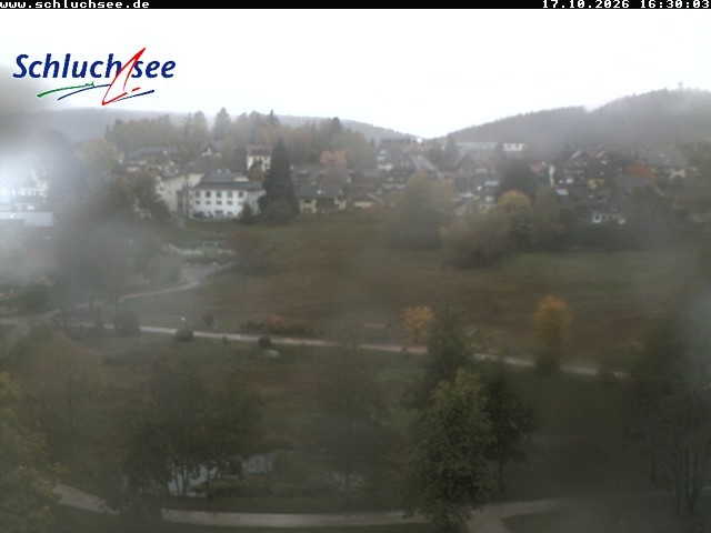 Archiv Foto Webcam Schluchsee: Wiesengrundpark