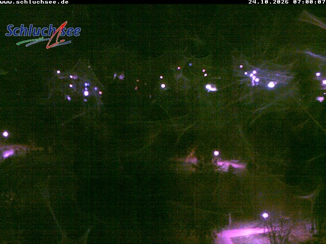 Archived image Webcam Schluchsee: recreation area Wiesengrundpark