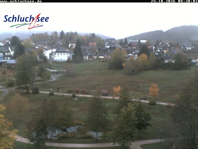 Archived image Webcam Schluchsee: recreation area Wiesengrundpark