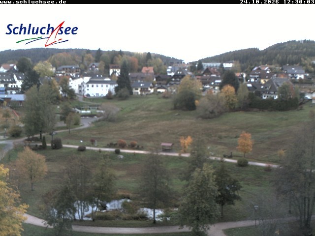 Archived image Webcam Schluchsee: recreation area Wiesengrundpark