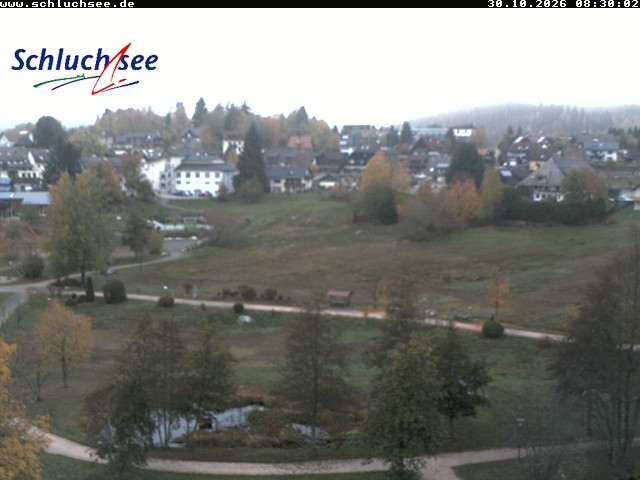 Archiv Foto Webcam Schluchsee: Wiesengrundpark