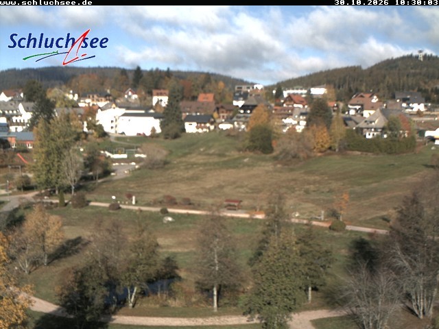 Archiv Foto Webcam Schluchsee: Wiesengrundpark