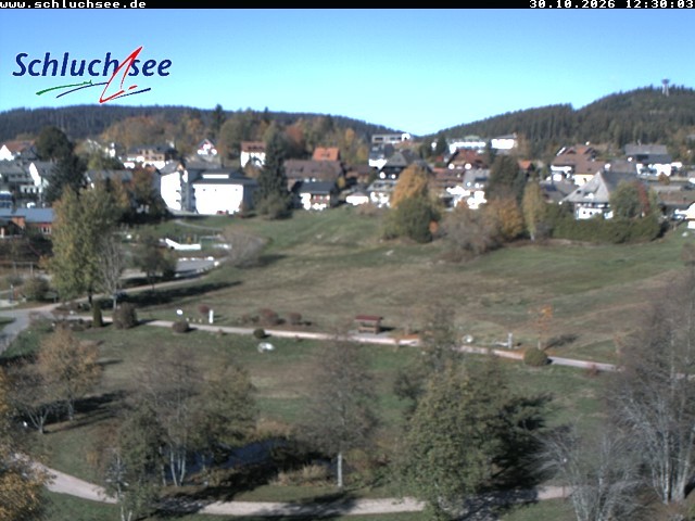 Archiv Foto Webcam Schluchsee: Wiesengrundpark