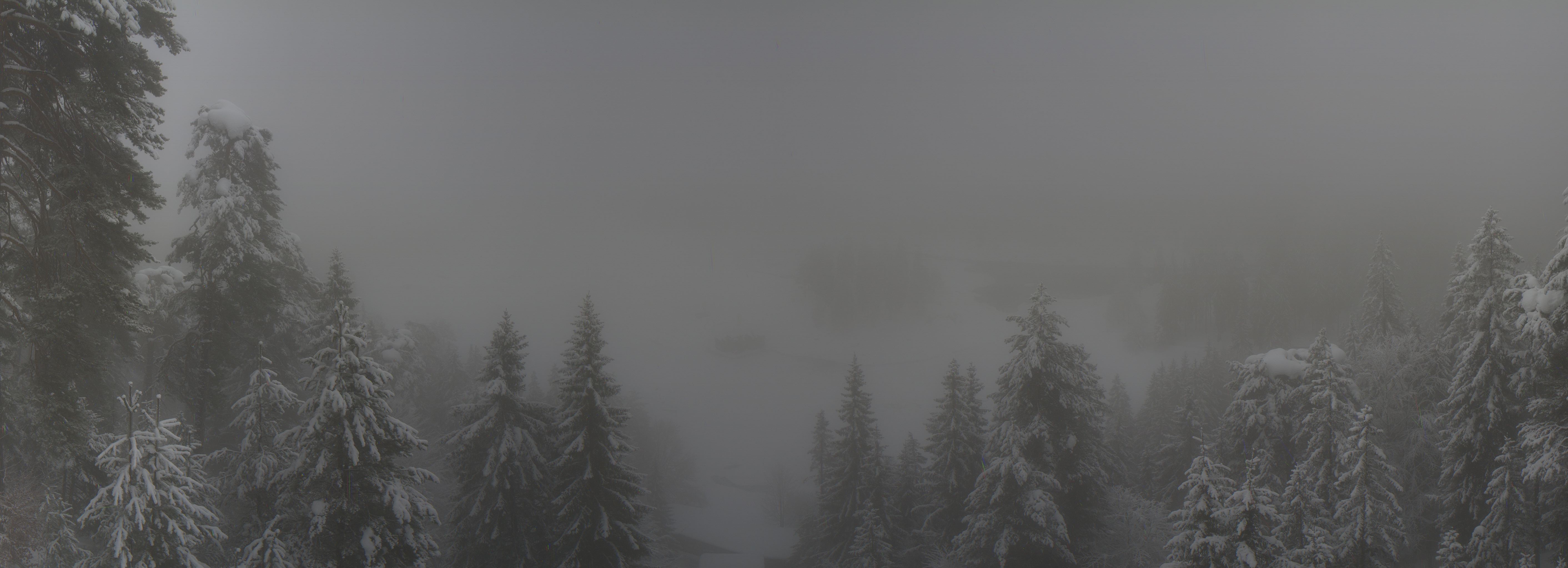 Archiv Foto Webcam Flims: Caumasee