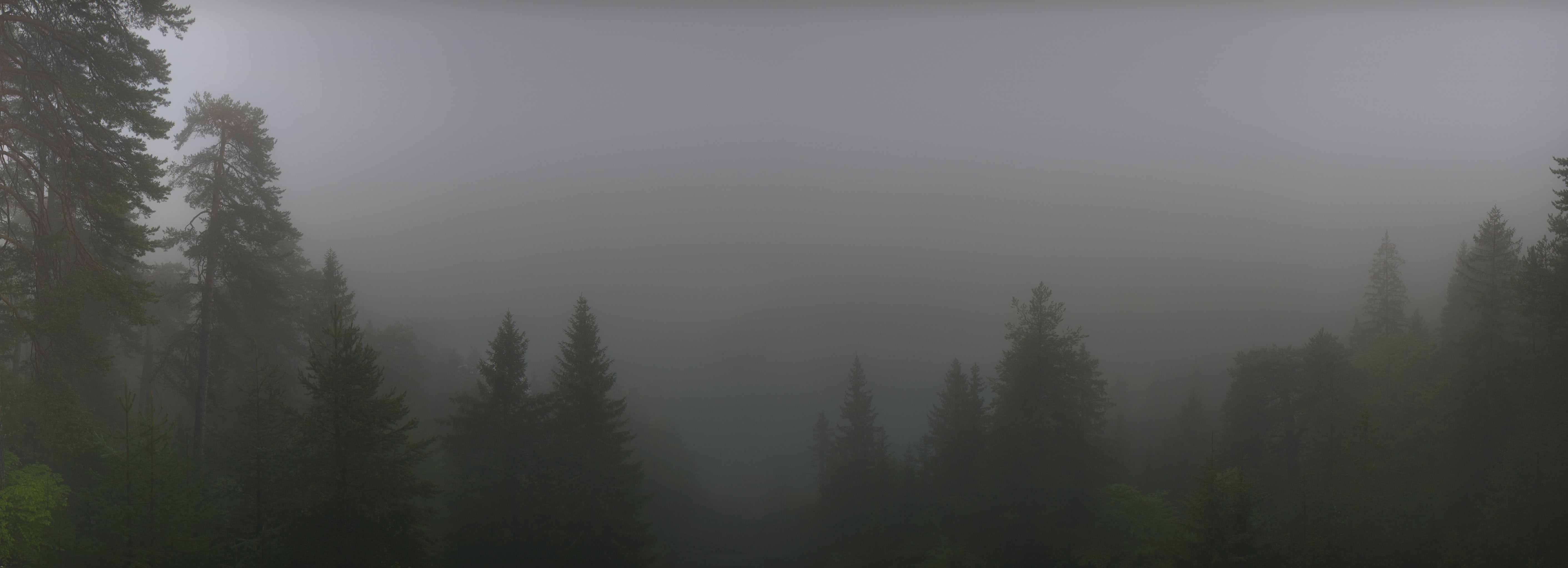 Archiv Foto Webcam Flims: Caumasee