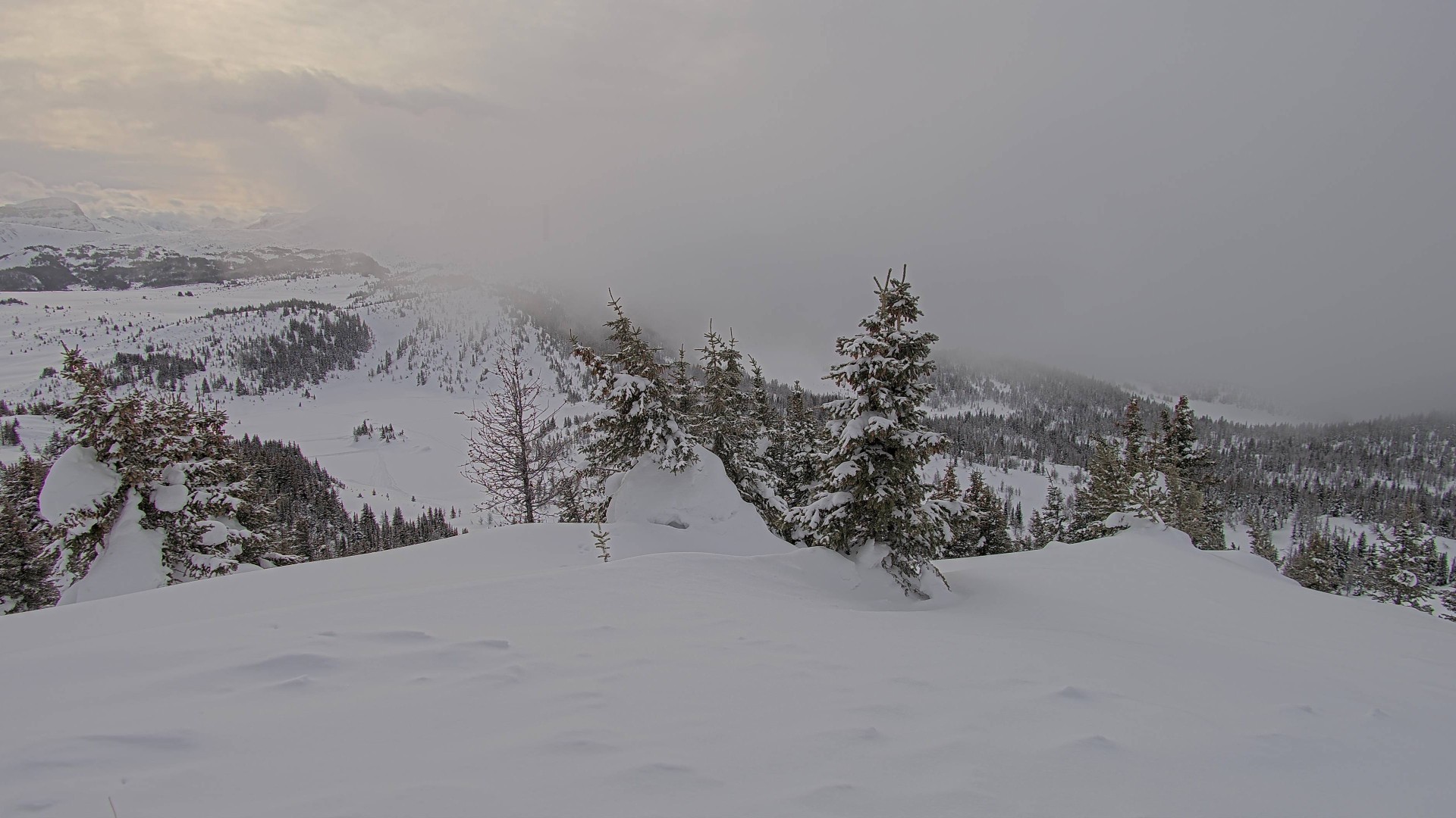 Archiv Foto Webcam Panorama Rock Isle Lake