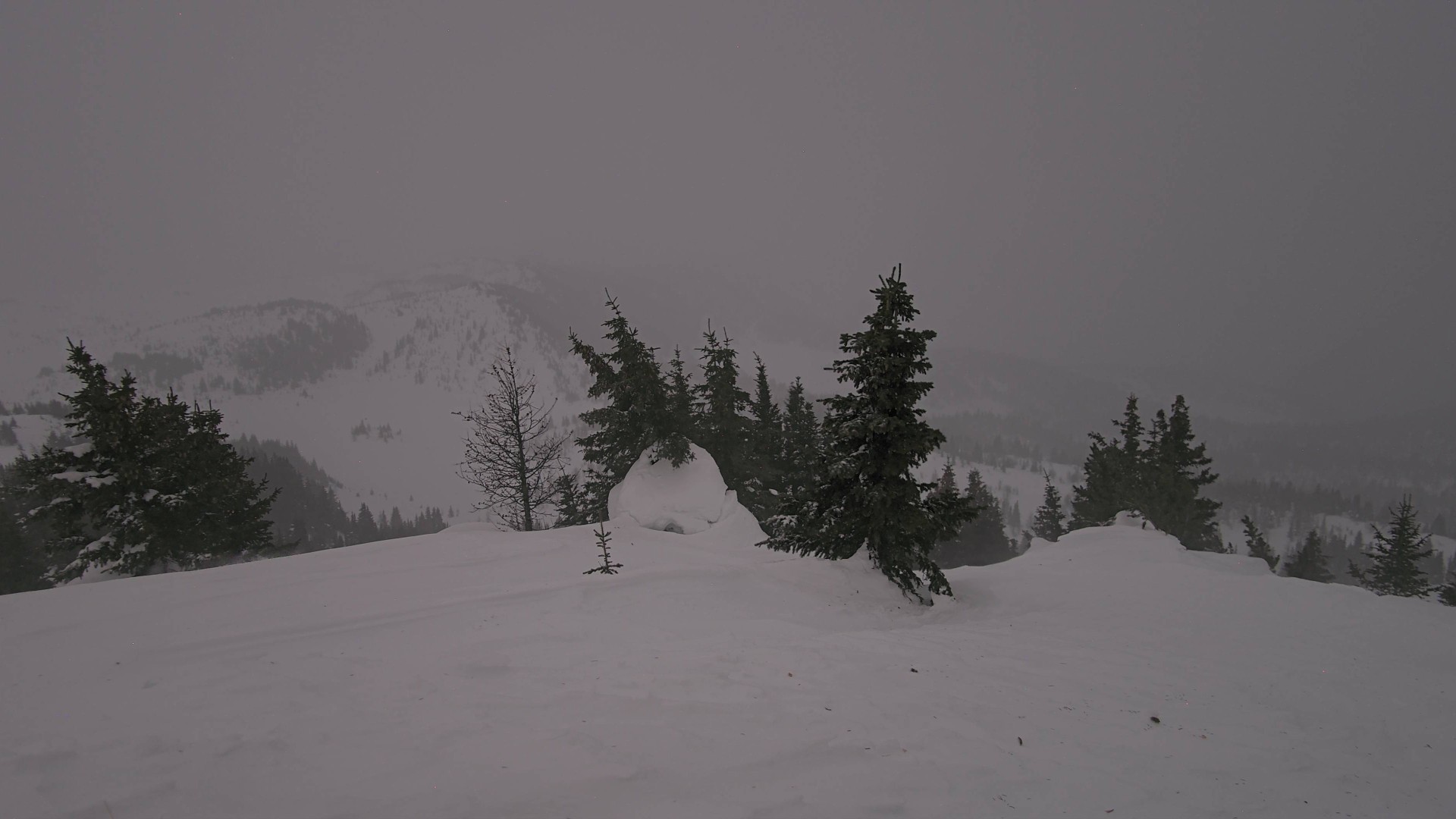 Archiv Foto Webcam Panorama Rock Isle Lake