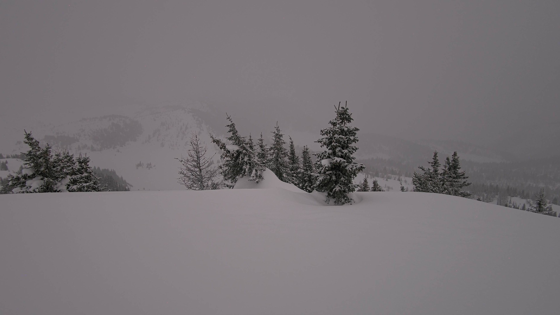 Archiv Foto Webcam Panorama Rock Isle Lake