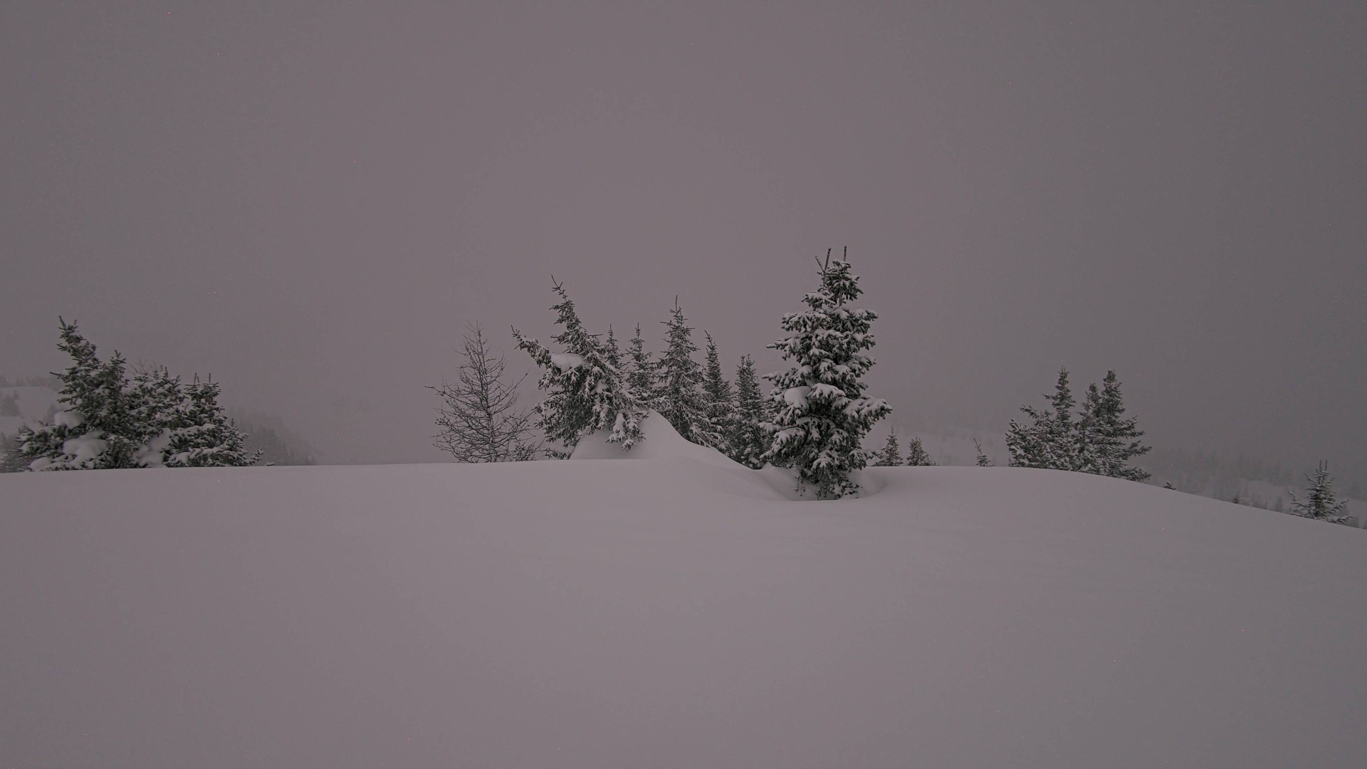 Archived image Webcam Panorama Rock Isle Lake