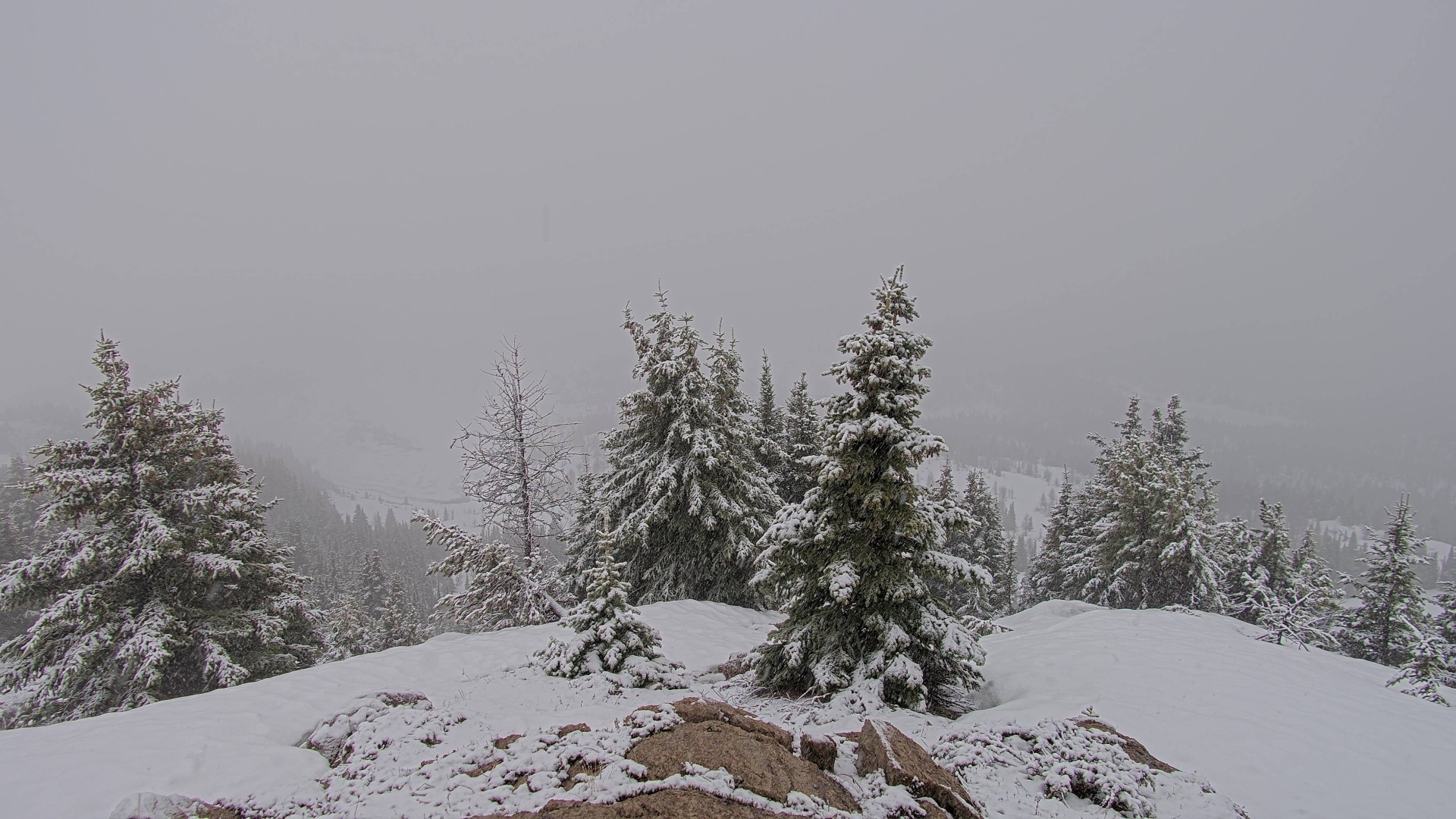Archiv Foto Webcam Panorama Rock Isle Lake