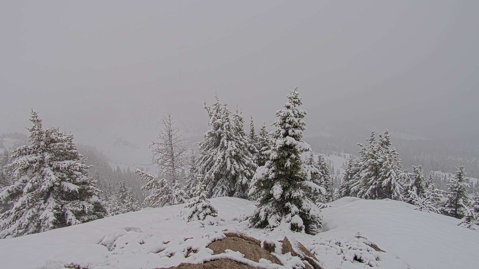 Archiv Foto Webcam Panorama Rock Isle Lake