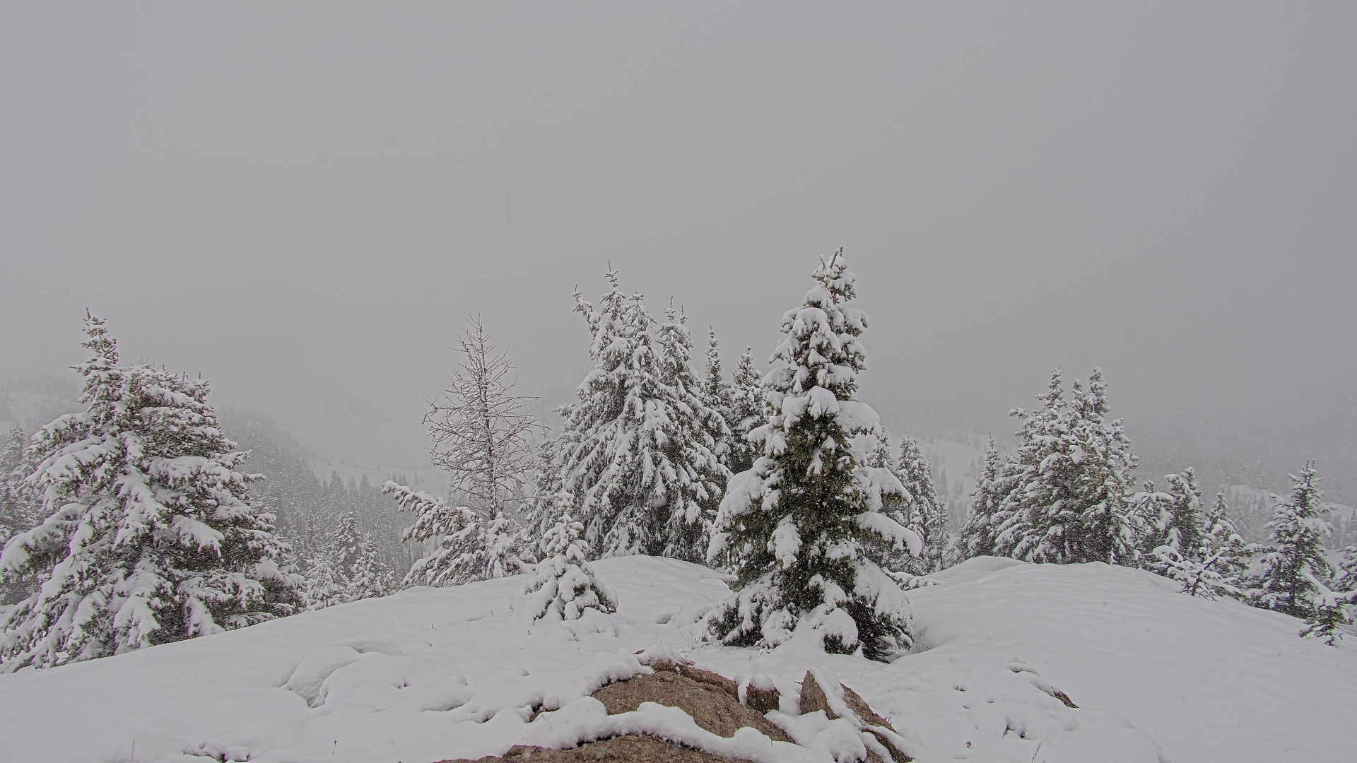 Archiv Foto Webcam Panorama Rock Isle Lake