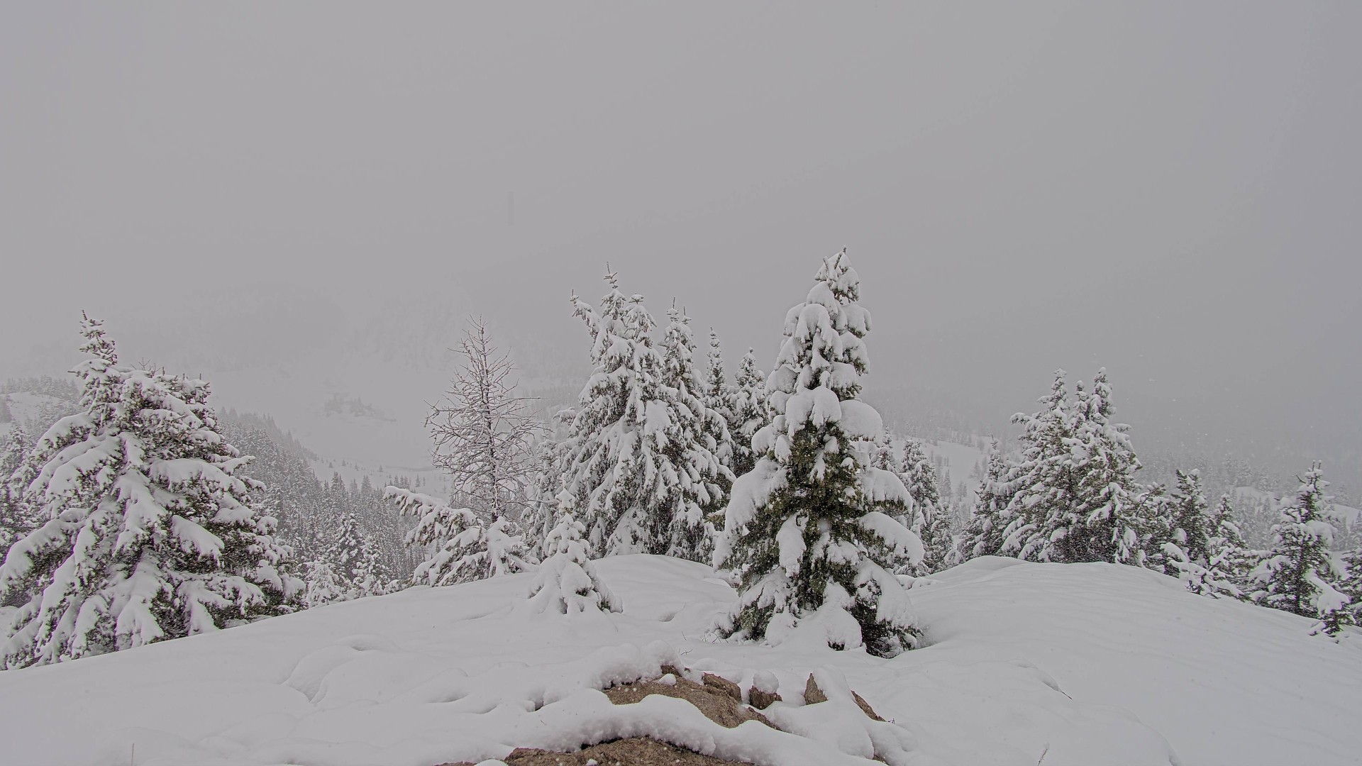 Archiv Foto Webcam Panorama Rock Isle Lake