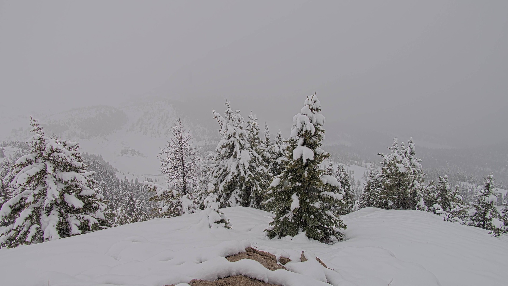 Archiv Foto Webcam Panorama Rock Isle Lake