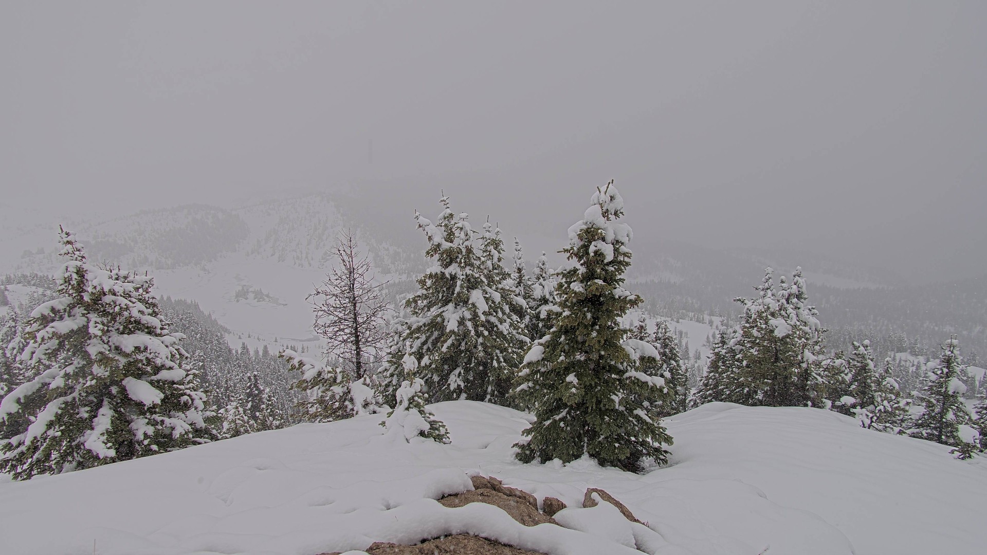 Archiv Foto Webcam Panorama Rock Isle Lake