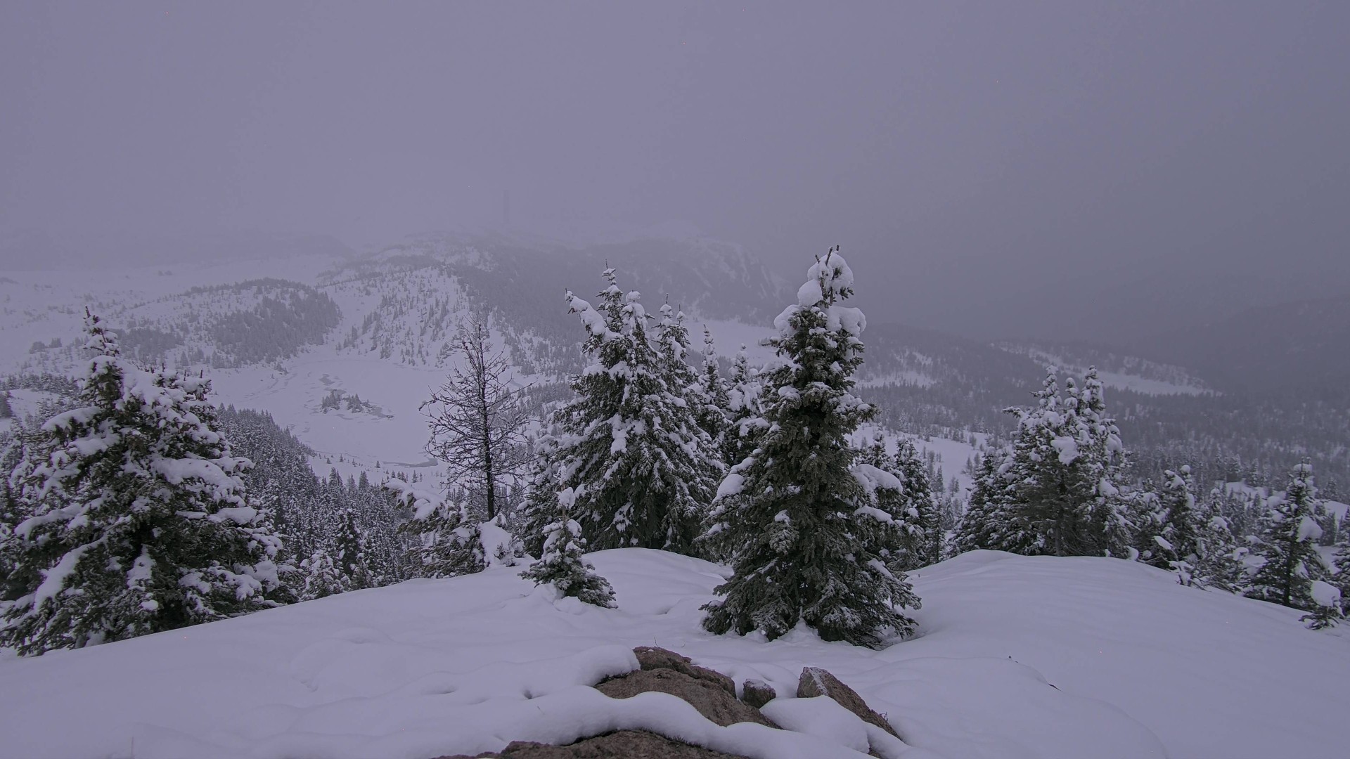 Archiv Foto Webcam Panorama Rock Isle Lake