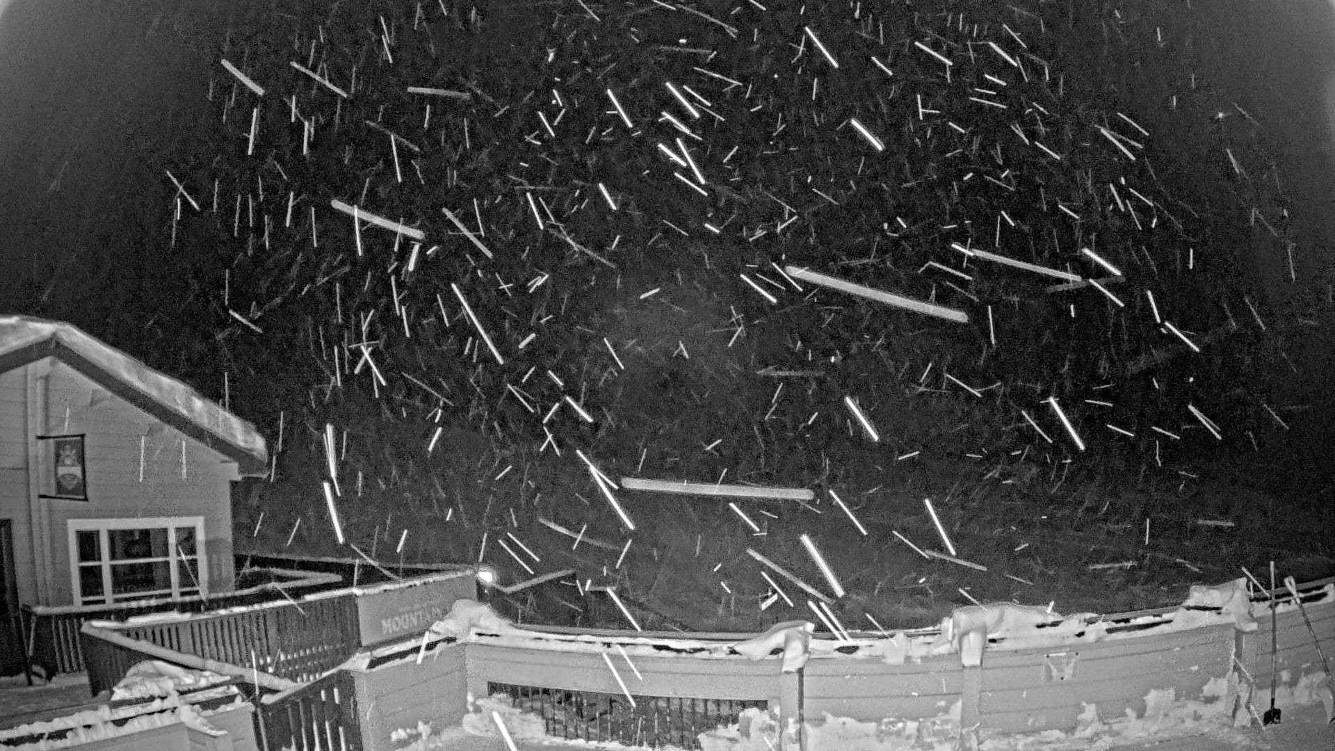 Archiv Foto Webcam Marmot Basin Mid Mountain, Alberta