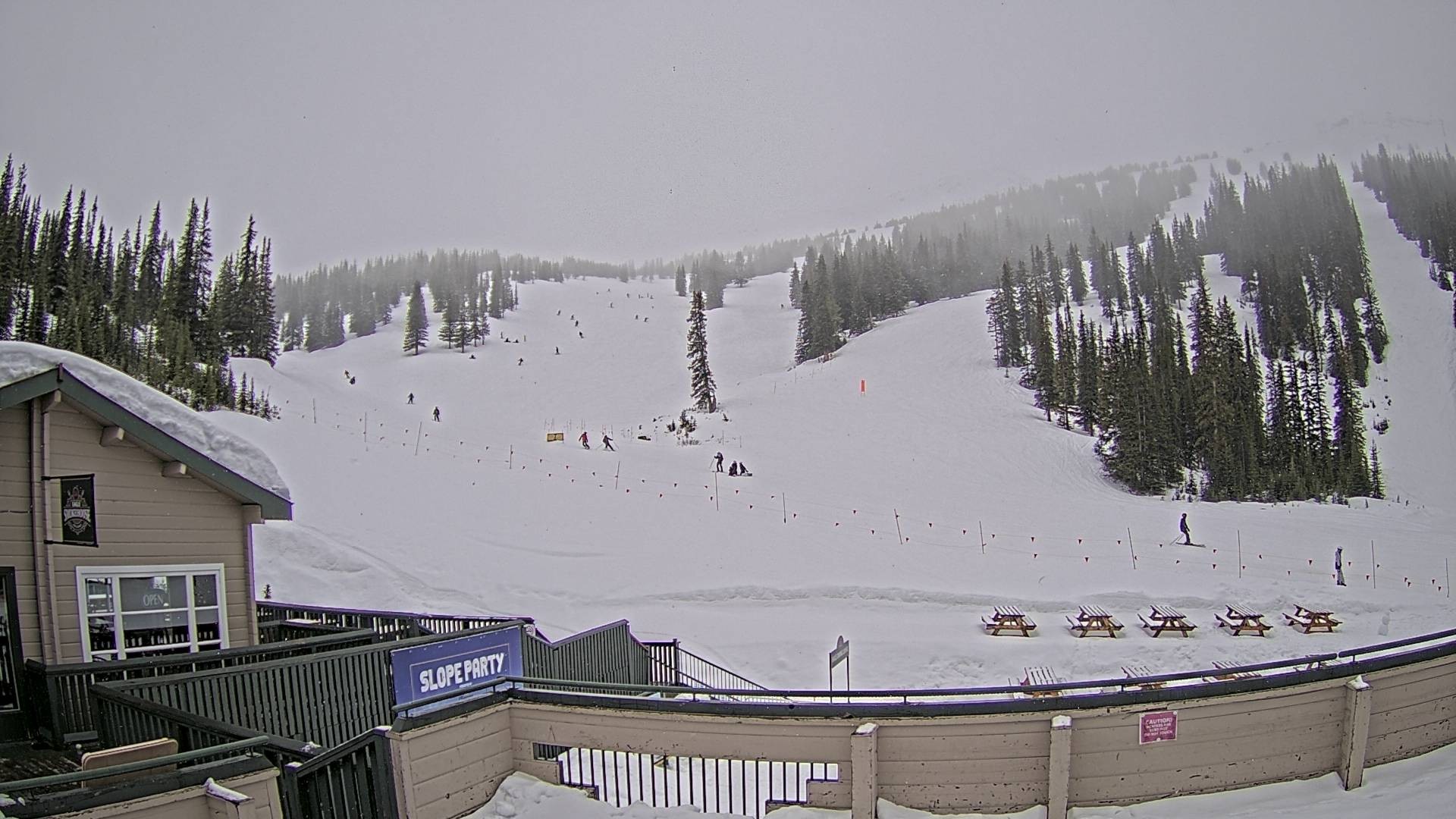 Archiv Foto Webcam Marmot Basin Mid Mountain, Alberta