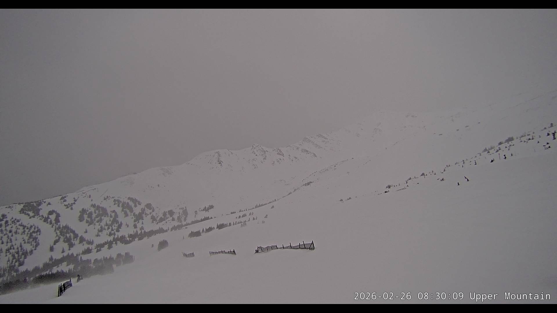 Archived image Webcam Alberta, Marmot Basin Upper Mountain