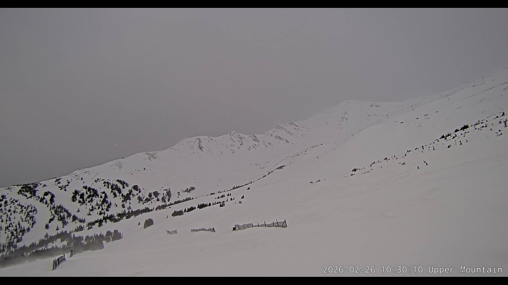 Archived image Webcam Alberta, Marmot Basin Upper Mountain