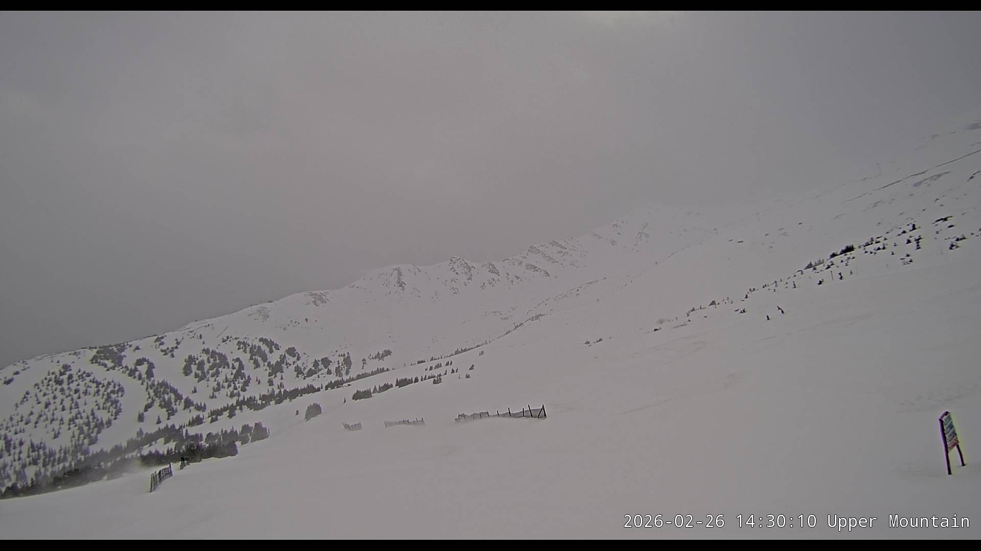 Archived image Webcam Alberta, Marmot Basin Upper Mountain