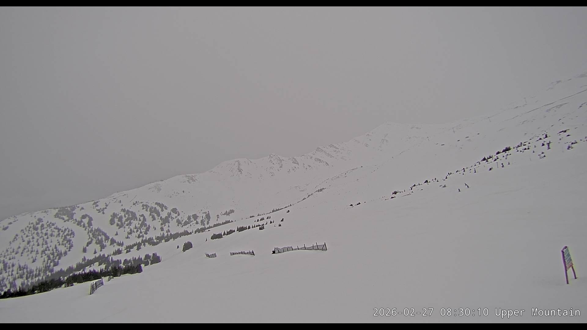 Archiv Foto Webcam Marmot Basin Upper Mountain, Alberta