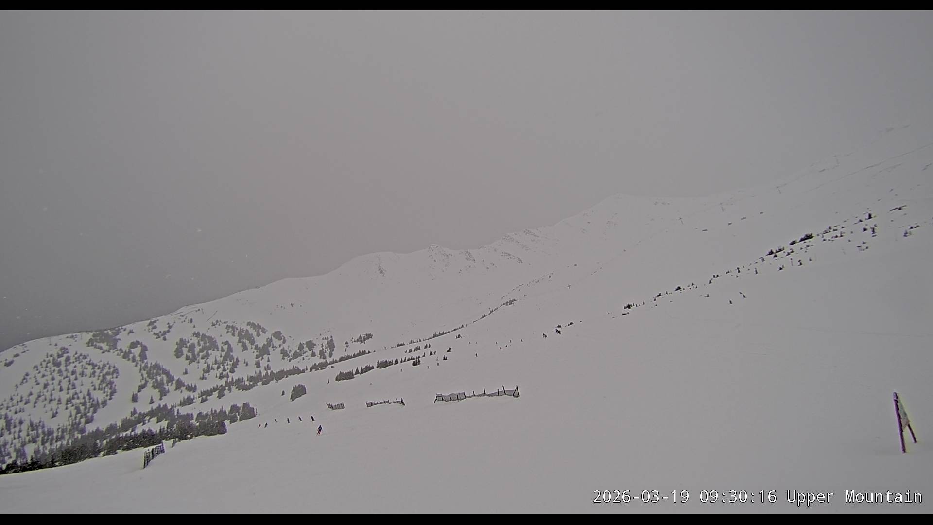 Archiv Foto Webcam Marmot Basin Upper Mountain, Alberta