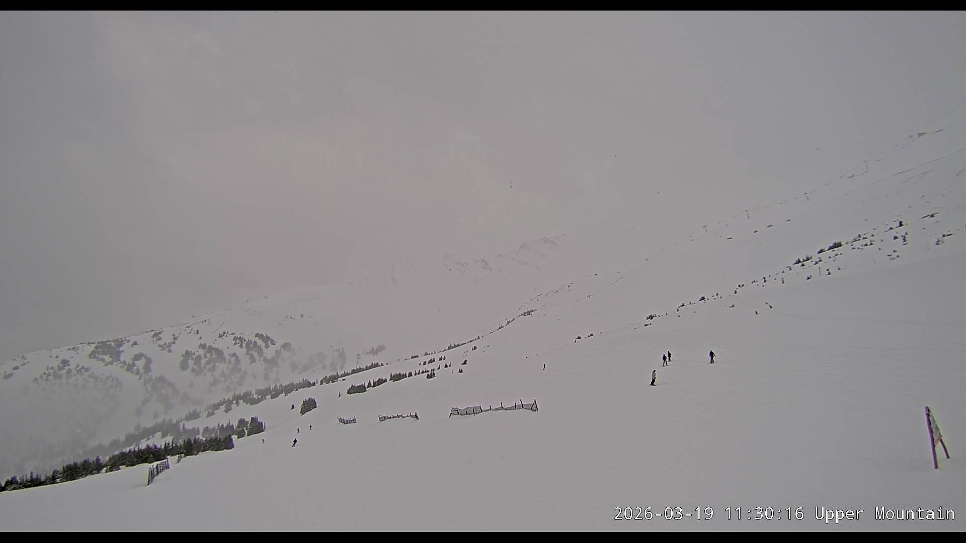 Archiv Foto Webcam Marmot Basin Upper Mountain, Alberta