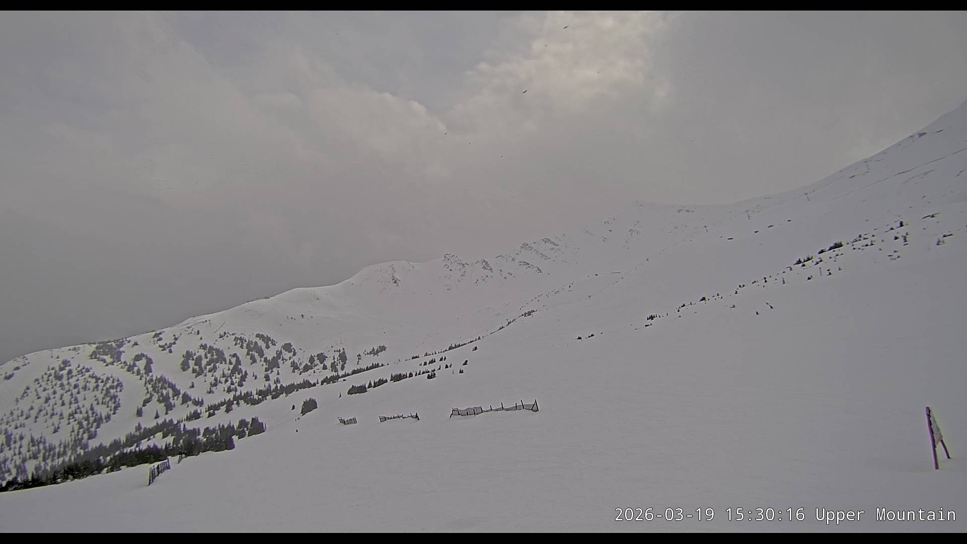 Archiv Foto Webcam Marmot Basin Upper Mountain, Alberta