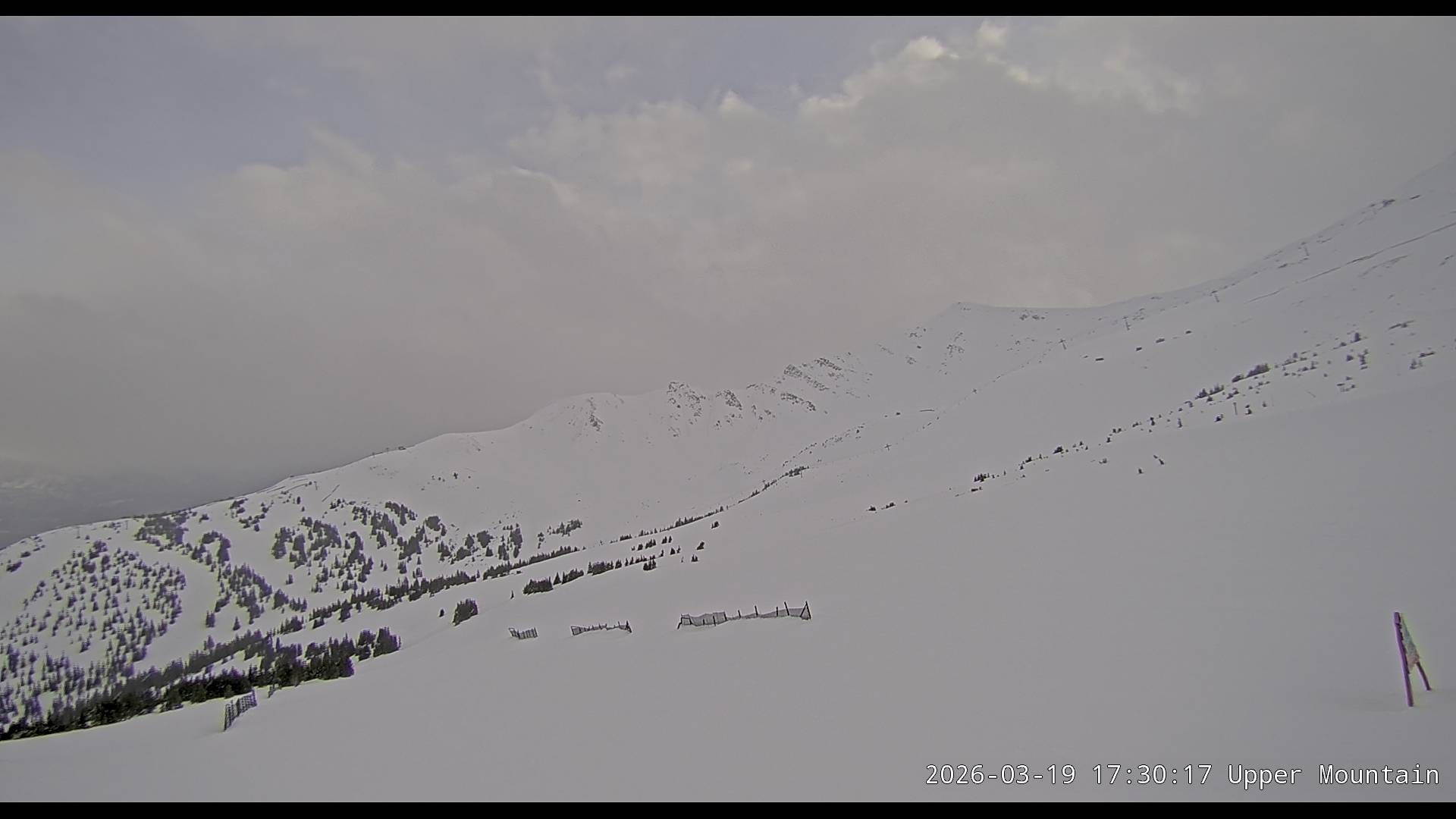 Archiv Foto Webcam Marmot Basin Upper Mountain, Alberta